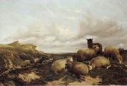 Sheep 159 unknow artist